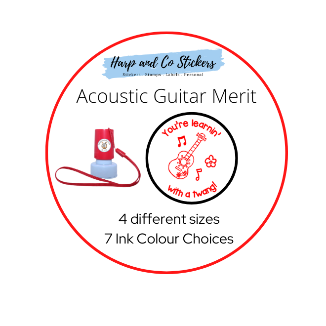 Acoustic Guitar Merit