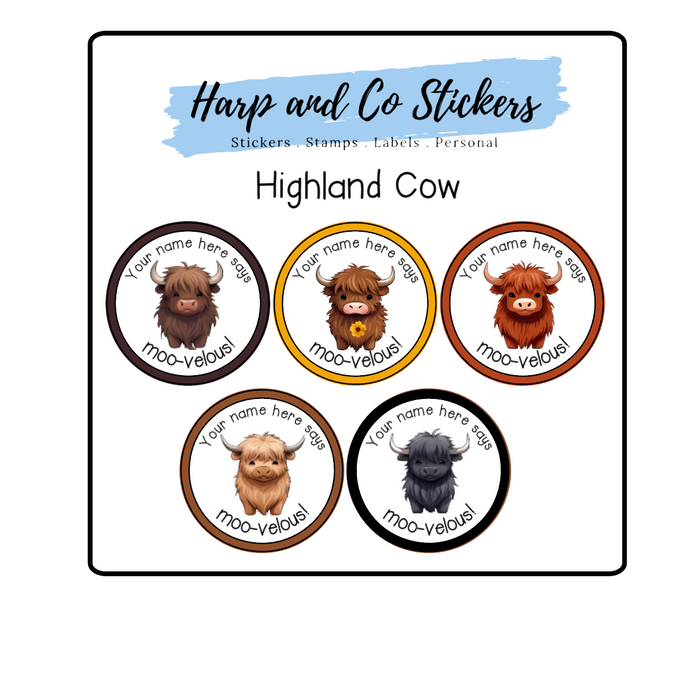 Highland Cow