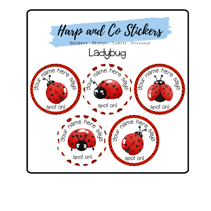 Lady Bug